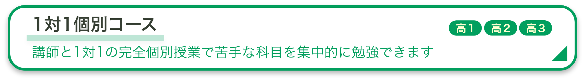 1対1個別コース