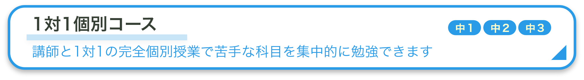 1対1個別コース