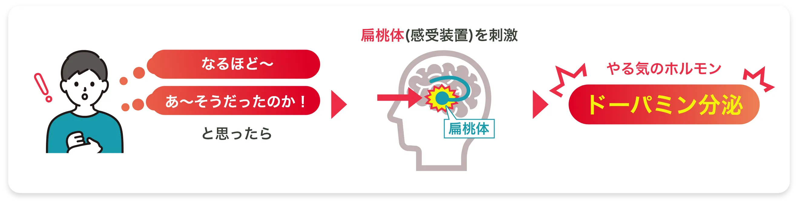 医学的根拠に基づく勉強法